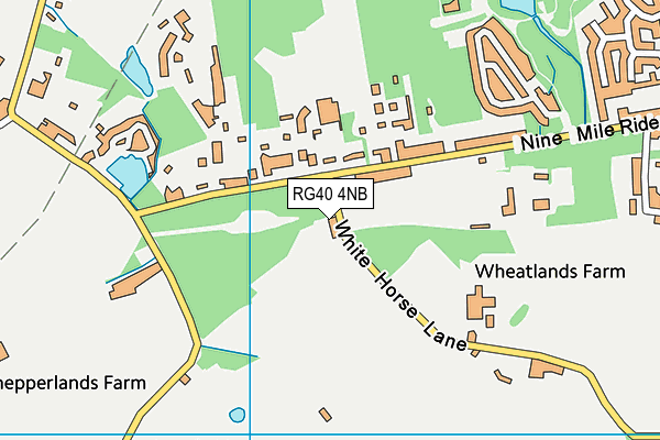 RG40 4NB map - OS VectorMap District (Ordnance Survey)