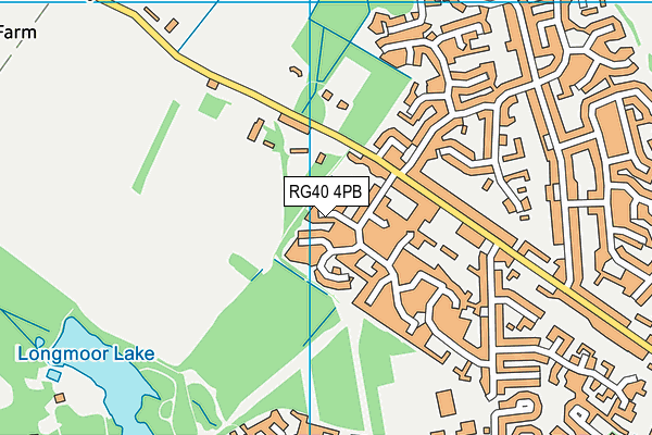 RG40 4PB map - OS VectorMap District (Ordnance Survey)