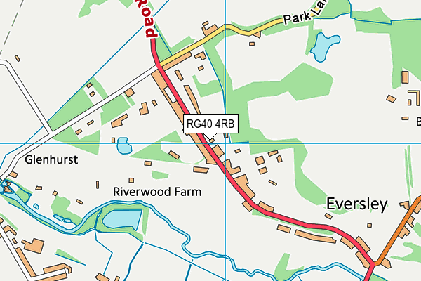 RG40 4RB map - OS VectorMap District (Ordnance Survey)