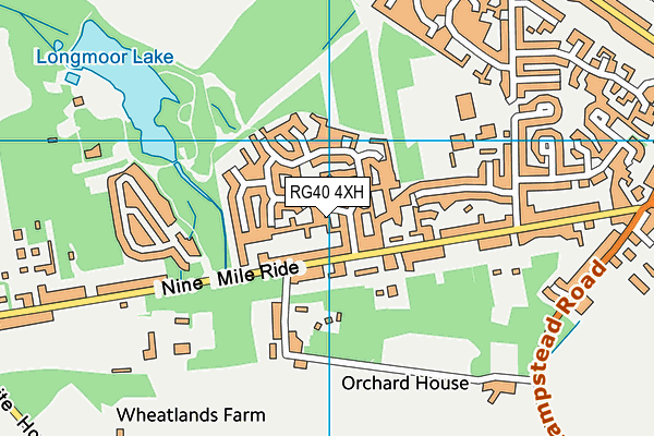 RG40 4XH map - OS VectorMap District (Ordnance Survey)