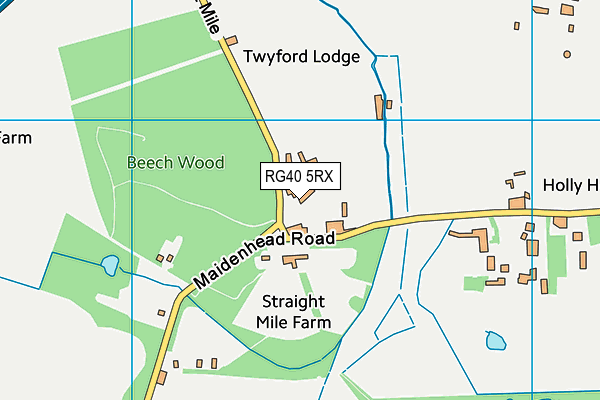 RG40 5RX map - OS VectorMap District (Ordnance Survey)