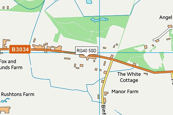 RG40 5SD map - OS VectorMap District (Ordnance Survey)