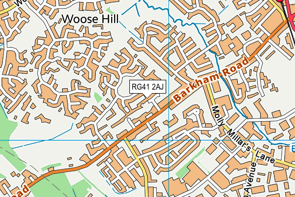 RG41 2AJ map - OS VectorMap District (Ordnance Survey)