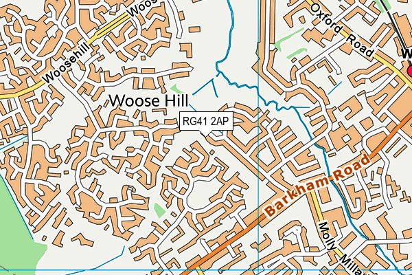 RG41 2AP map - OS VectorMap District (Ordnance Survey)