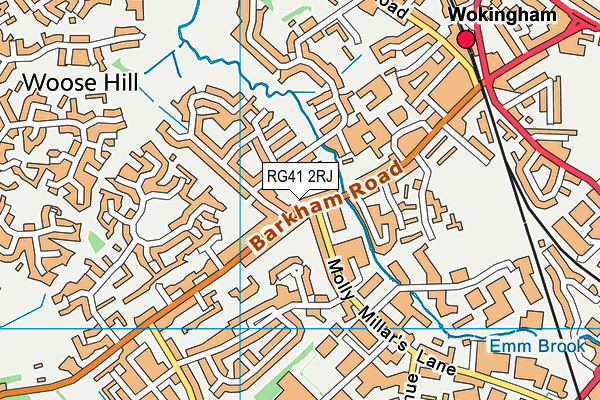 RG41 2RJ map - OS VectorMap District (Ordnance Survey)