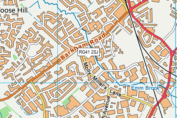 RG41 2SJ map - OS VectorMap District (Ordnance Survey)