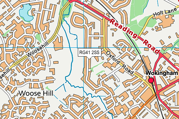 RG41 2SS map - OS VectorMap District (Ordnance Survey)