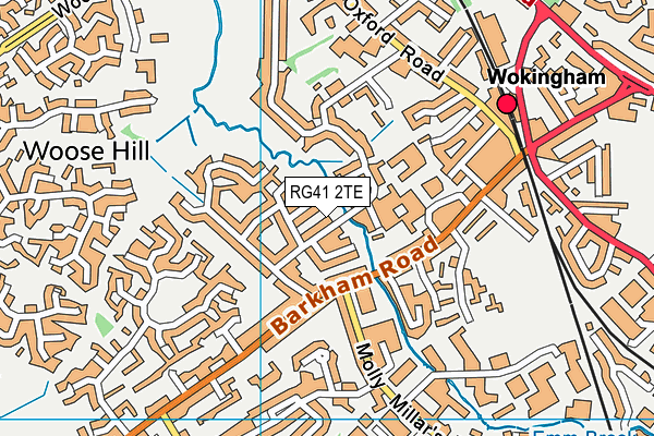 RG41 2TE map - OS VectorMap District (Ordnance Survey)