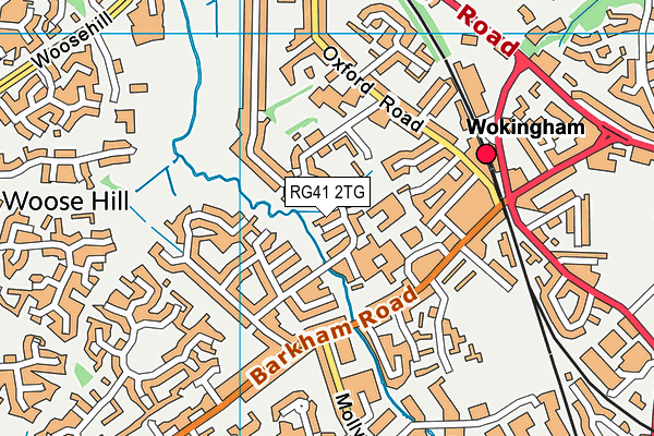 RG41 2TG map - OS VectorMap District (Ordnance Survey)