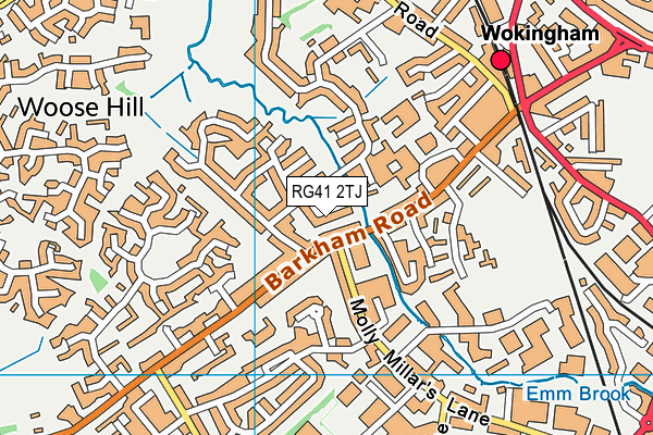 RG41 2TJ map - OS VectorMap District (Ordnance Survey)