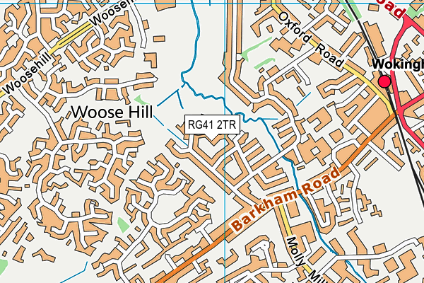 RG41 2TR map - OS VectorMap District (Ordnance Survey)