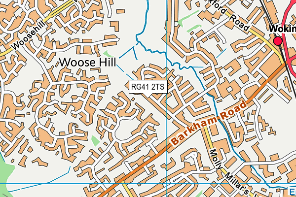 RG41 2TS map - OS VectorMap District (Ordnance Survey)