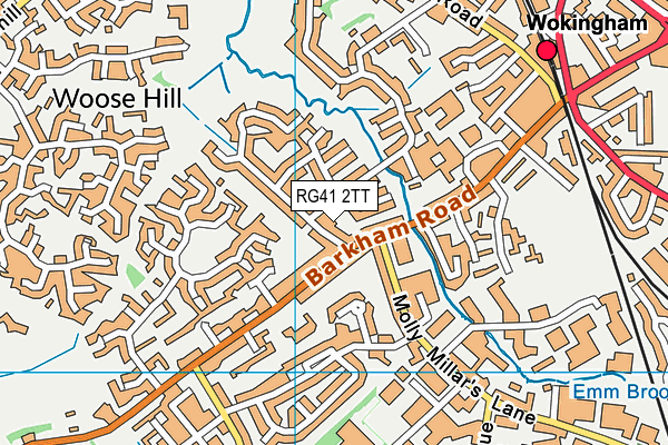 RG41 2TT map - OS VectorMap District (Ordnance Survey)