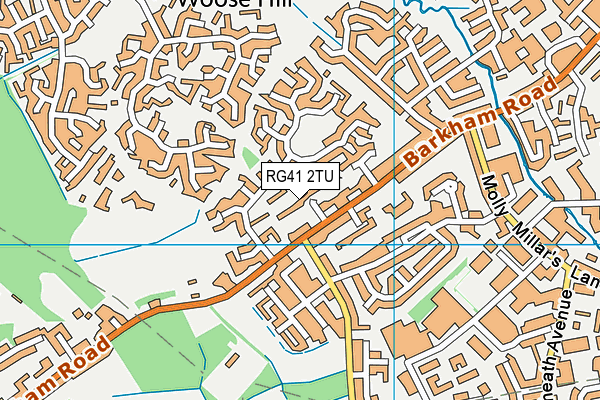 RG41 2TU map - OS VectorMap District (Ordnance Survey)