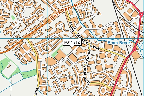 RG41 2TZ map - OS VectorMap District (Ordnance Survey)