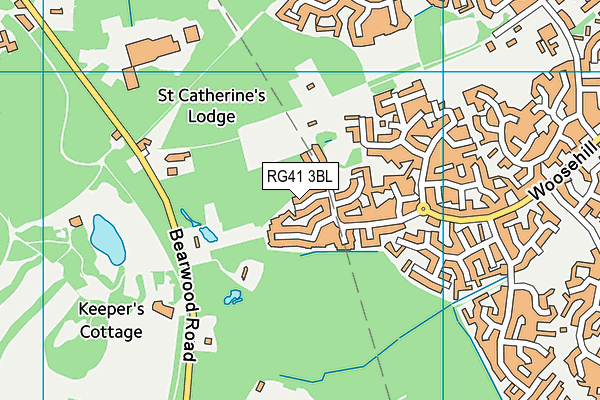 RG41 3BL map - OS VectorMap District (Ordnance Survey)