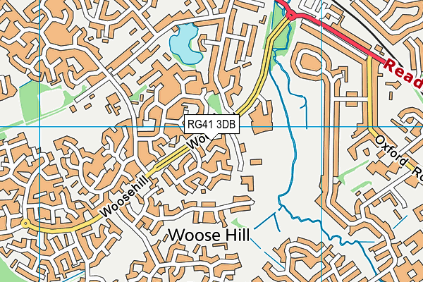 RG41 3DB map - OS VectorMap District (Ordnance Survey)