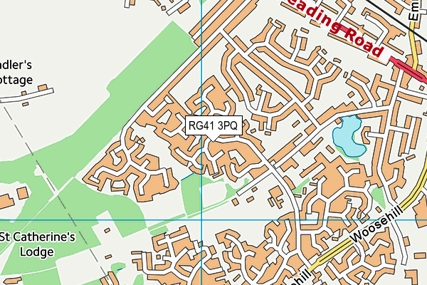 Hawthorns Primary School map (RG41 3PQ) - OS VectorMap District (Ordnance Survey)