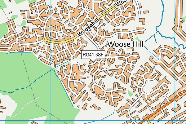 RG41 3SF map - OS VectorMap District (Ordnance Survey)