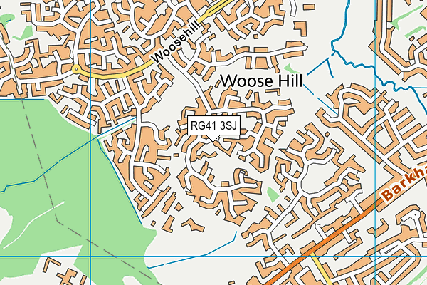 RG41 3SJ map - OS VectorMap District (Ordnance Survey)