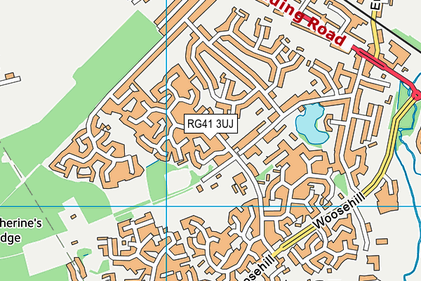 RG41 3UJ map - OS VectorMap District (Ordnance Survey)