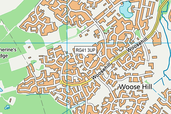 RG41 3UP map - OS VectorMap District (Ordnance Survey)