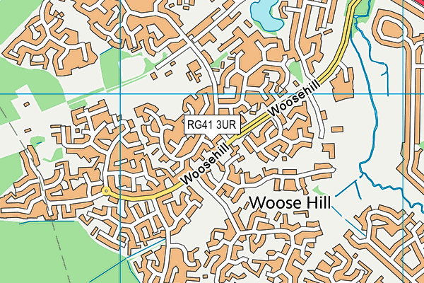 RG41 3UR map - OS VectorMap District (Ordnance Survey)