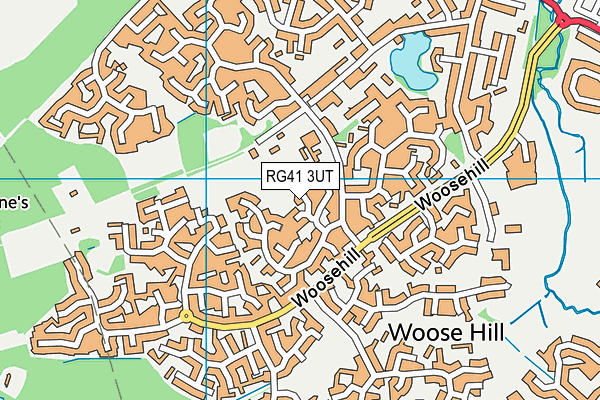 RG41 3UT map - OS VectorMap District (Ordnance Survey)