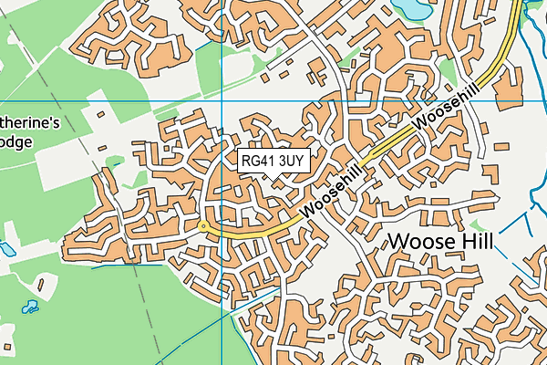 RG41 3UY map - OS VectorMap District (Ordnance Survey)