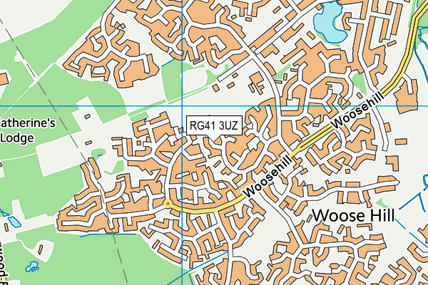 RG41 3UZ map - OS VectorMap District (Ordnance Survey)