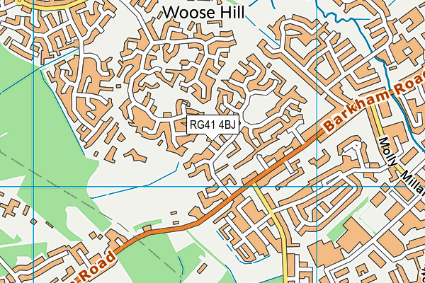 RG41 4BJ map - OS VectorMap District (Ordnance Survey)