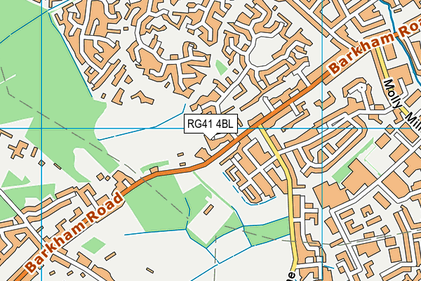 RG41 4BL map - OS VectorMap District (Ordnance Survey)