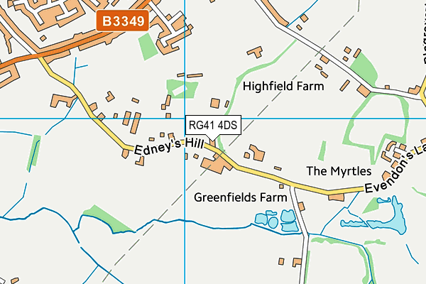 RG41 4DS map - OS VectorMap District (Ordnance Survey)