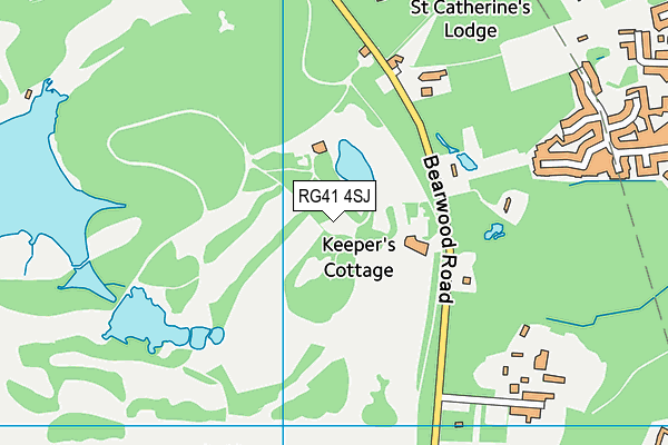 RG41 4SJ map - OS VectorMap District (Ordnance Survey)