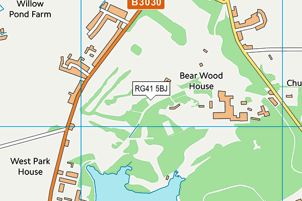 RG41 5BJ map - OS VectorMap District (Ordnance Survey)