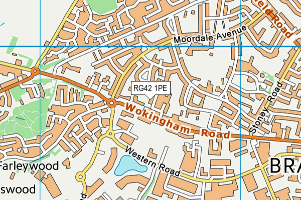 RG42 1PE map - OS VectorMap District (Ordnance Survey)