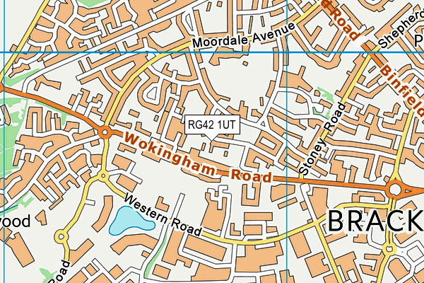 RG42 1UT map - OS VectorMap District (Ordnance Survey)