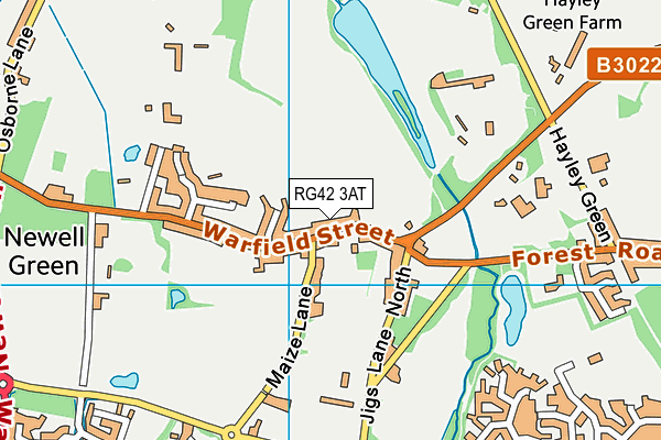 RG42 3AT map - OS VectorMap District (Ordnance Survey)