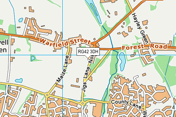 RG42 3DH map - OS VectorMap District (Ordnance Survey)
