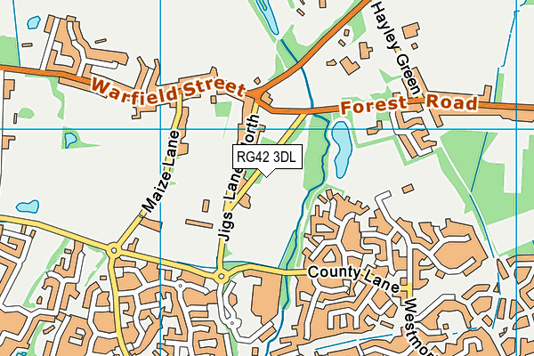 RG42 3DL map - OS VectorMap District (Ordnance Survey)