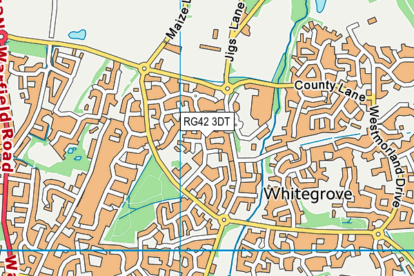 RG42 3DT map - OS VectorMap District (Ordnance Survey)