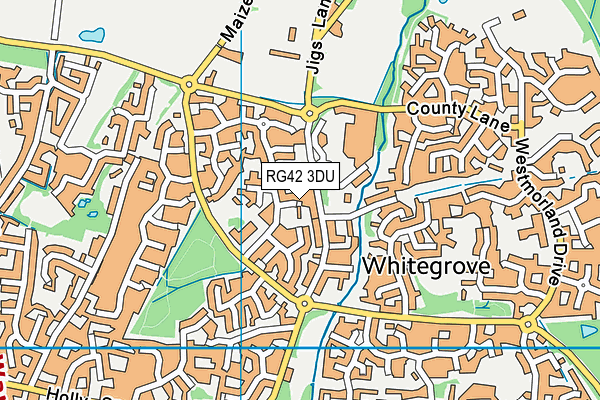 RG42 3DU map - OS VectorMap District (Ordnance Survey)