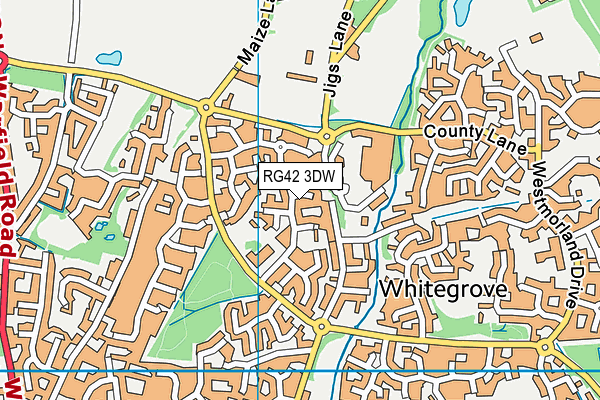 RG42 3DW map - OS VectorMap District (Ordnance Survey)