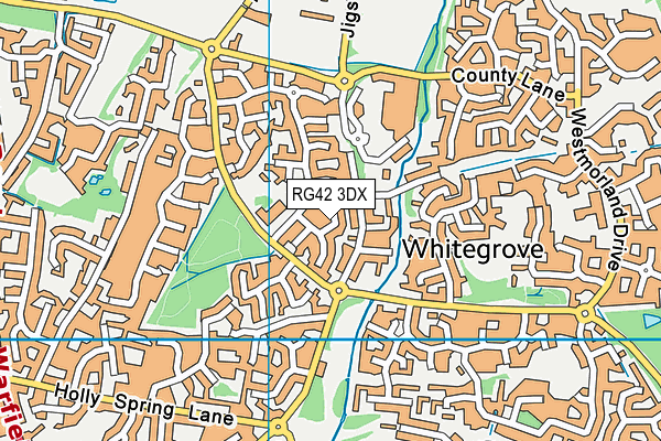 RG42 3DX map - OS VectorMap District (Ordnance Survey)