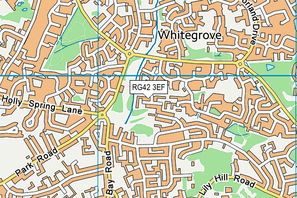 RG42 3EF map - OS VectorMap District (Ordnance Survey)