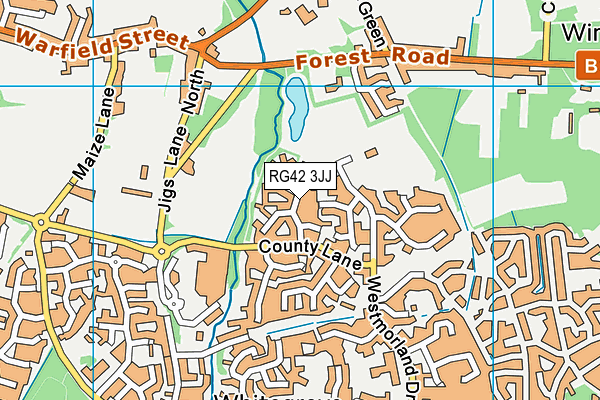 RG42 3JJ map - OS VectorMap District (Ordnance Survey)