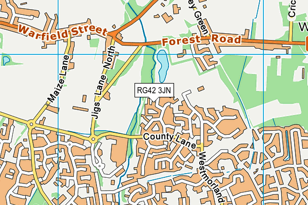 RG42 3JN map - OS VectorMap District (Ordnance Survey)