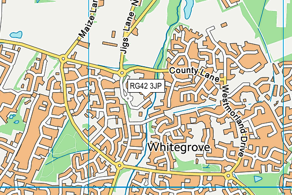 RG42 3JP map - OS VectorMap District (Ordnance Survey)