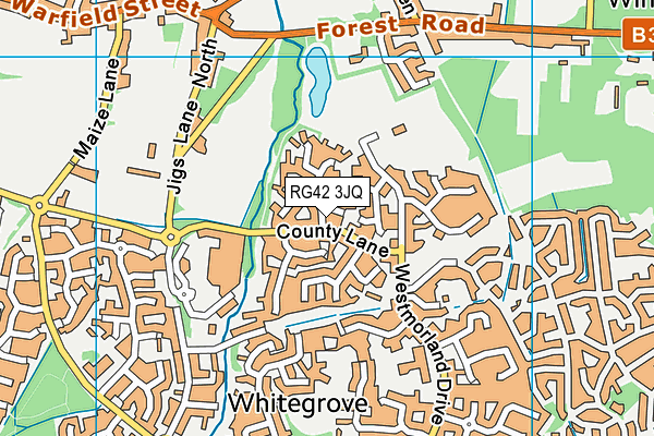 RG42 3JQ map - OS VectorMap District (Ordnance Survey)