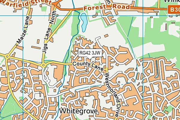 RG42 3JW map - OS VectorMap District (Ordnance Survey)